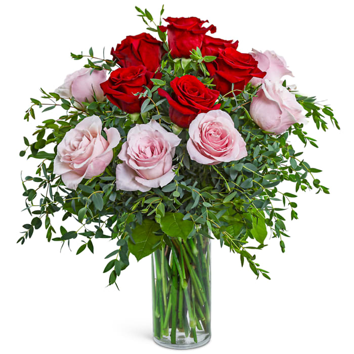 One Dozen Perfect Pink and Red Roses