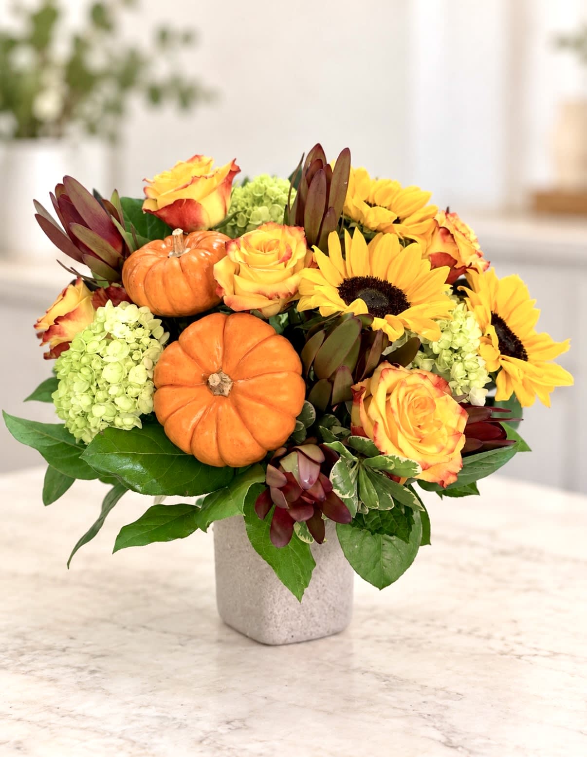 Fall Harvest