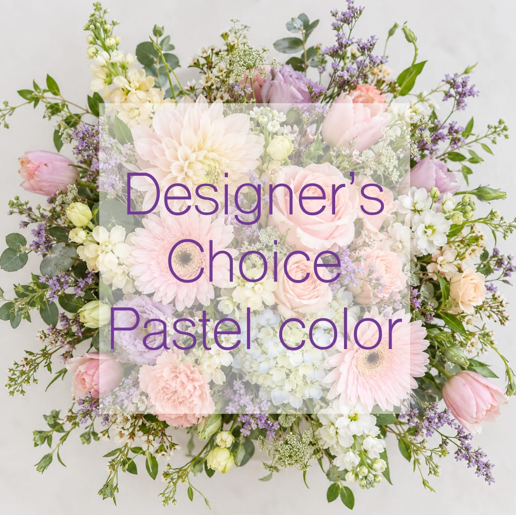 DESIGNER'S CHOICE PASTELS