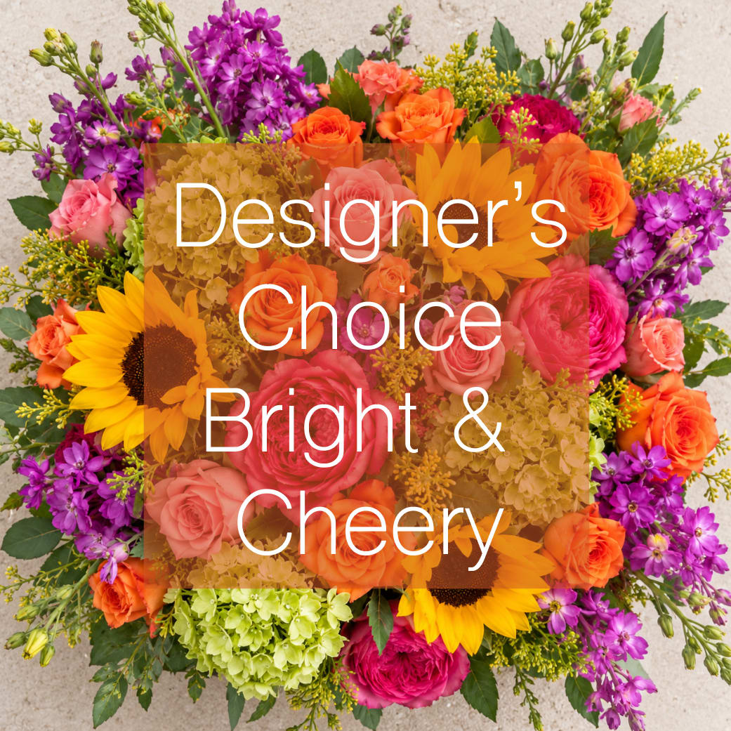 DESIGNER'S CHOICE BRIGHT & COLOORFUL