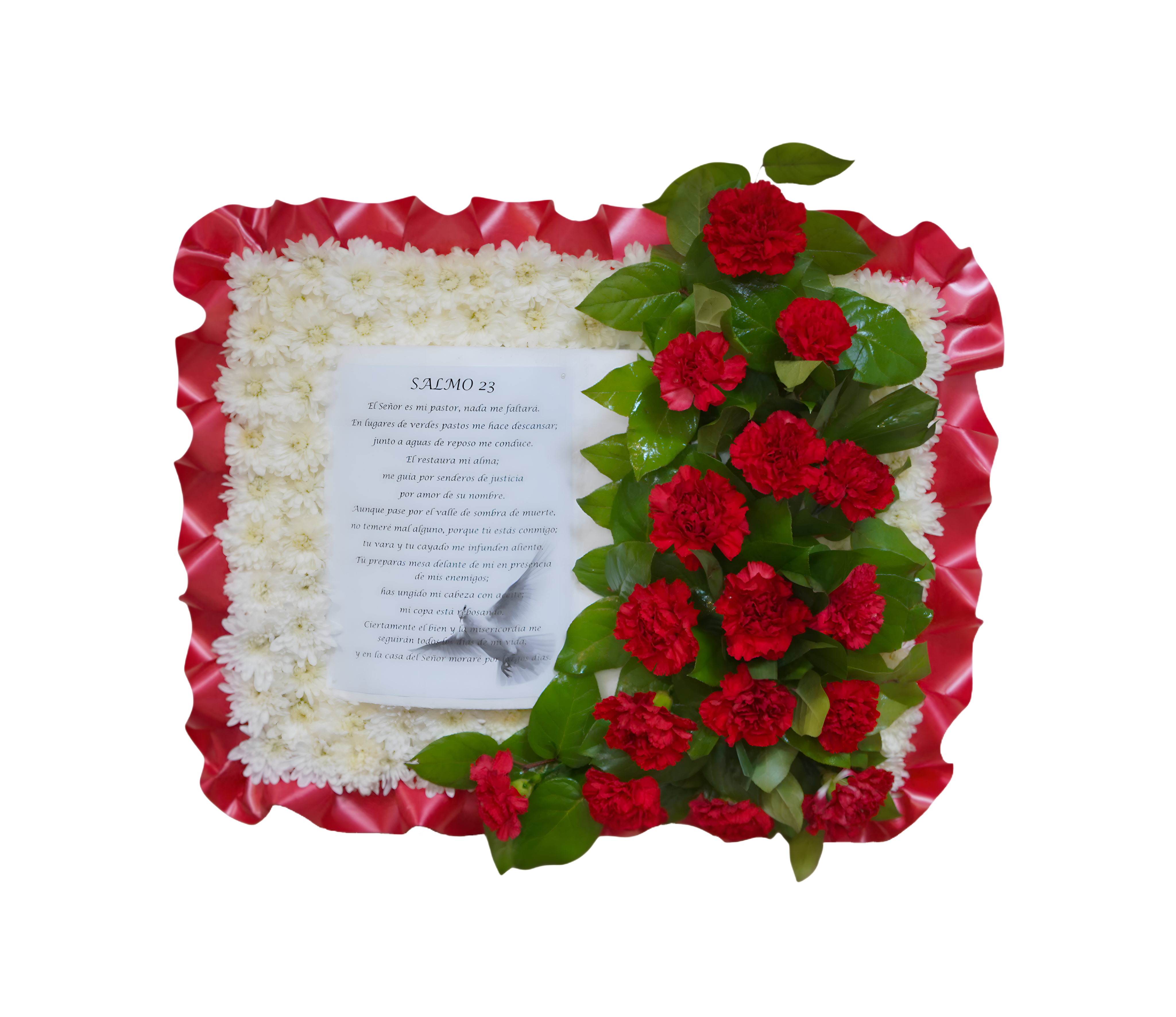 PL-01 Biblia de claveles y pompones