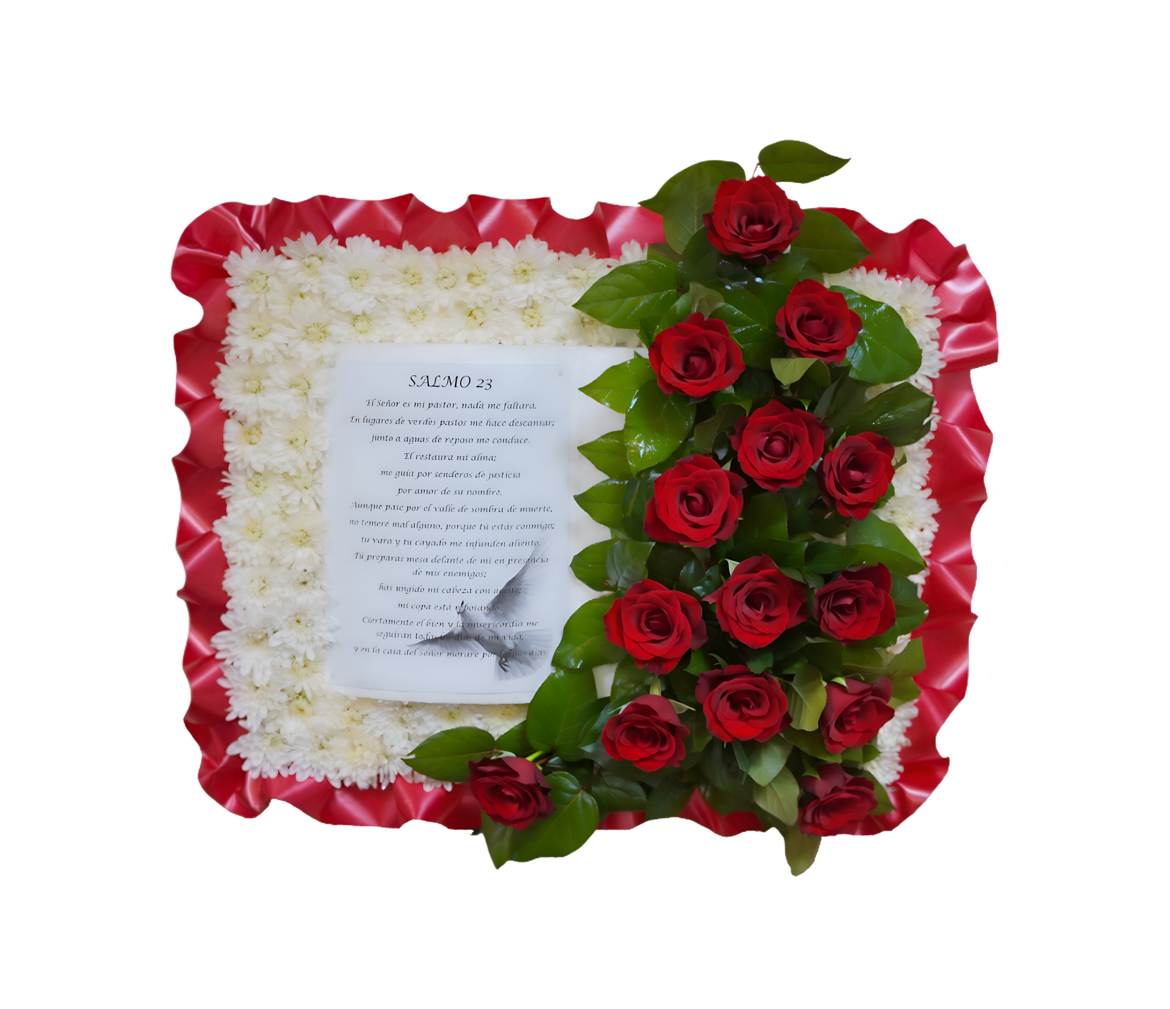 PL-03 Biblia de rosas y pompones