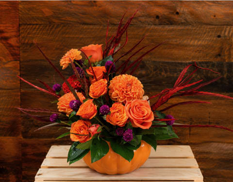 Orange Pumpkin