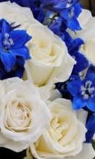 Blue Prom Boutonniere
