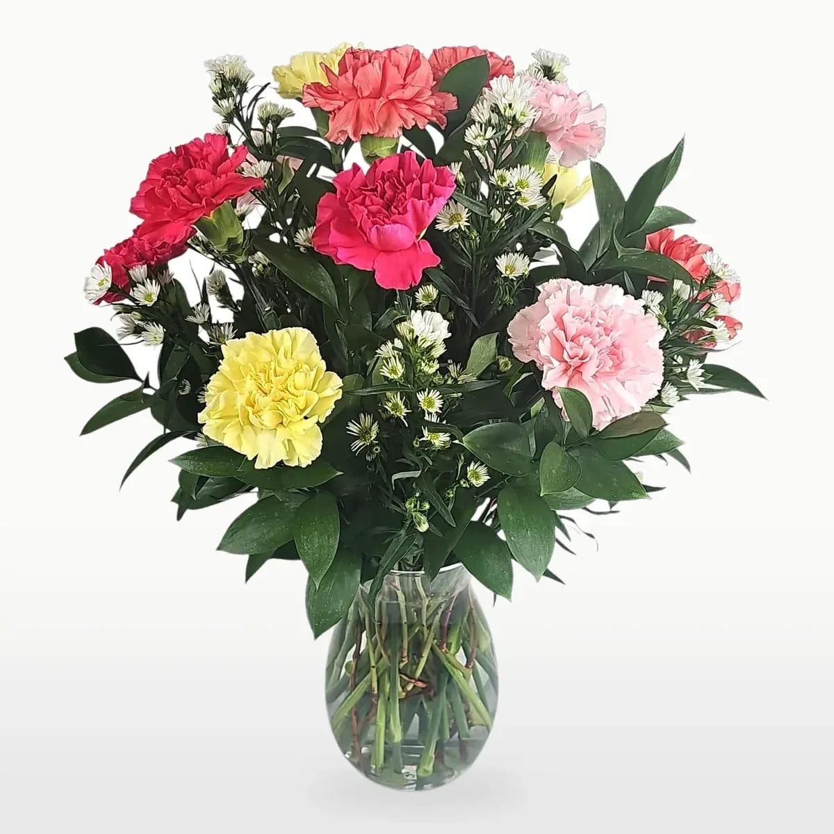 Carnations (Colors Vary)