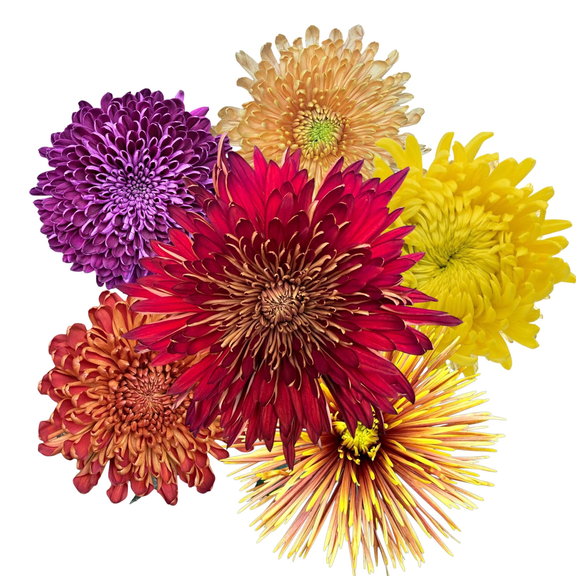 Cremons Flower Bouquet
