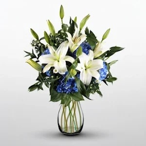 Bluetiful