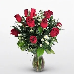 Dz. Red premium roses