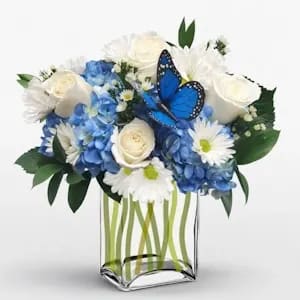 Blue Moon w/ Butterfly