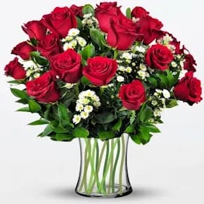 2 Dz red premium roses