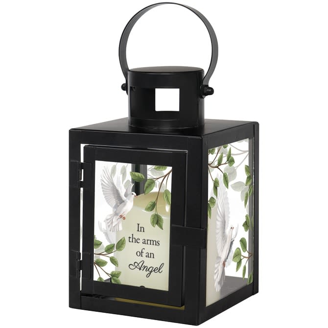 Small Arms of An Angel Lantern