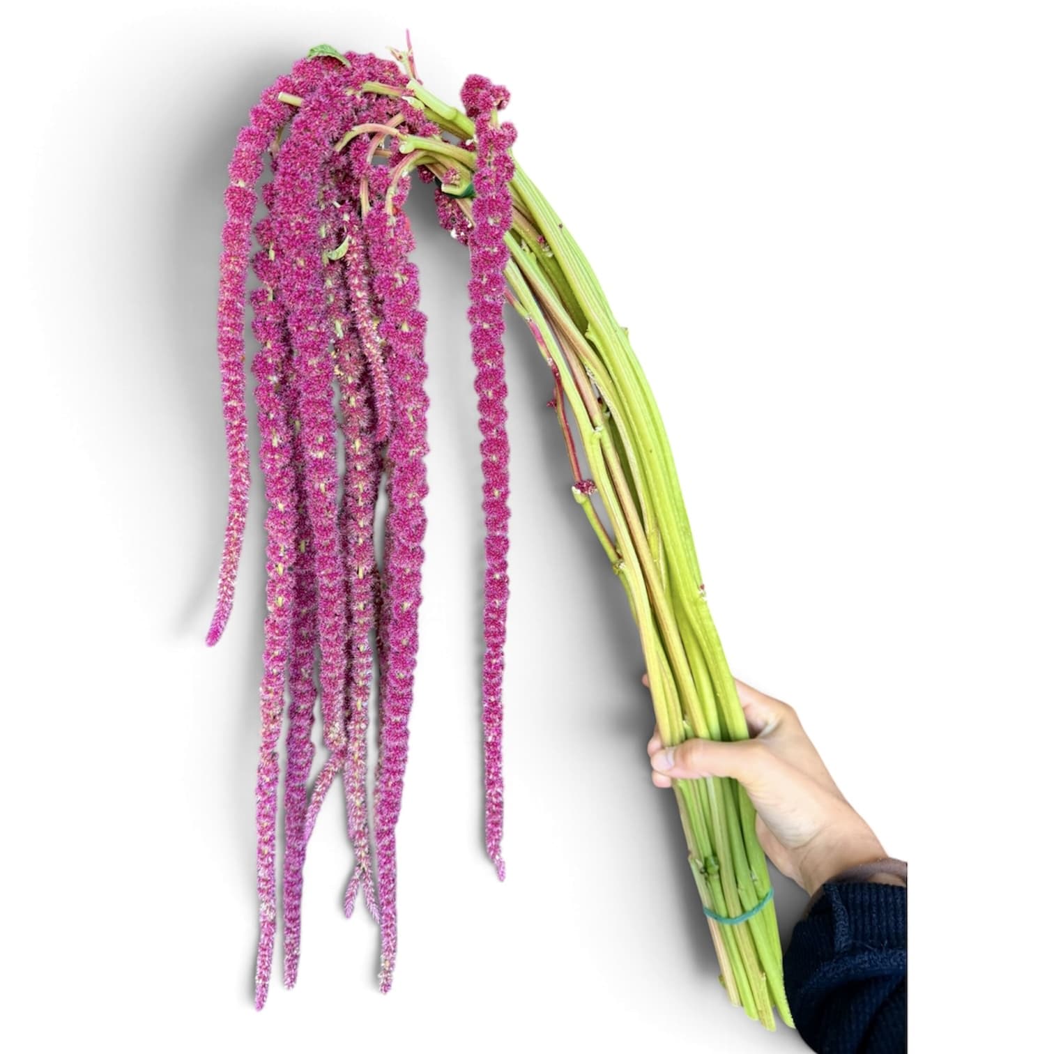 Amaranthus Flower Bouquet