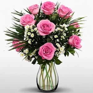 Dz Pink* Premium Roses