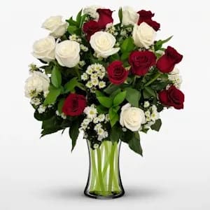 2 Dz Fire and Ice Premium Roses