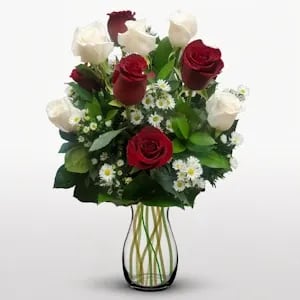Dz Fire and Ice premium Roses