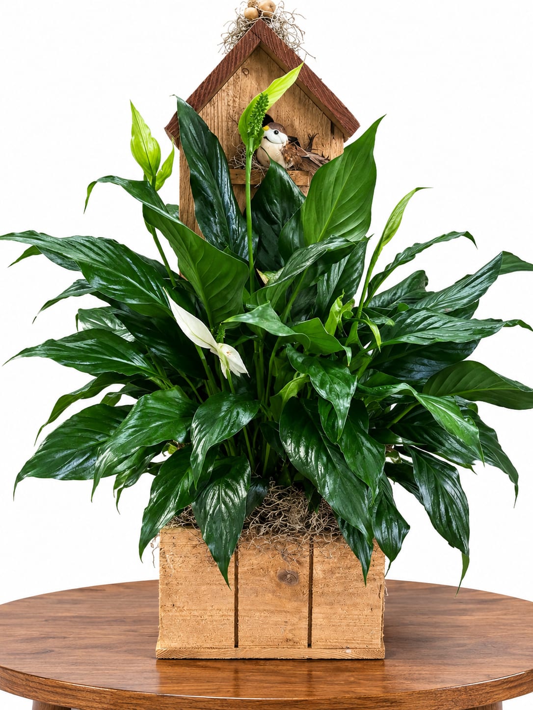Peace Lily Birdhouse