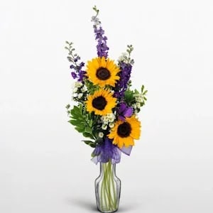 Sunny Violet