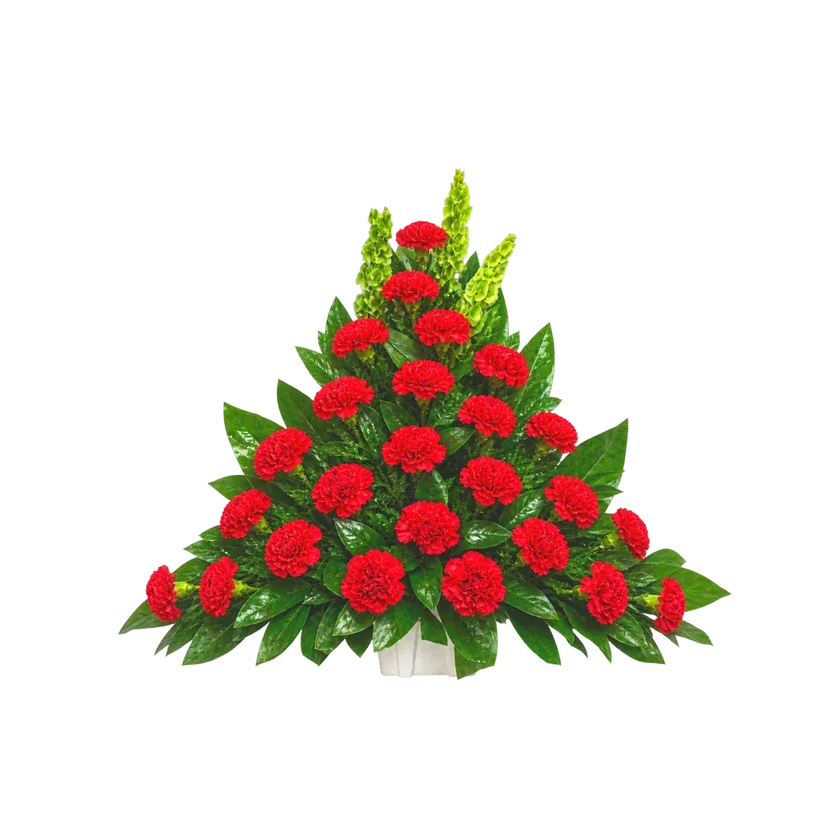 CN-02 Canasta funeral de claveles y campana de Irlanda