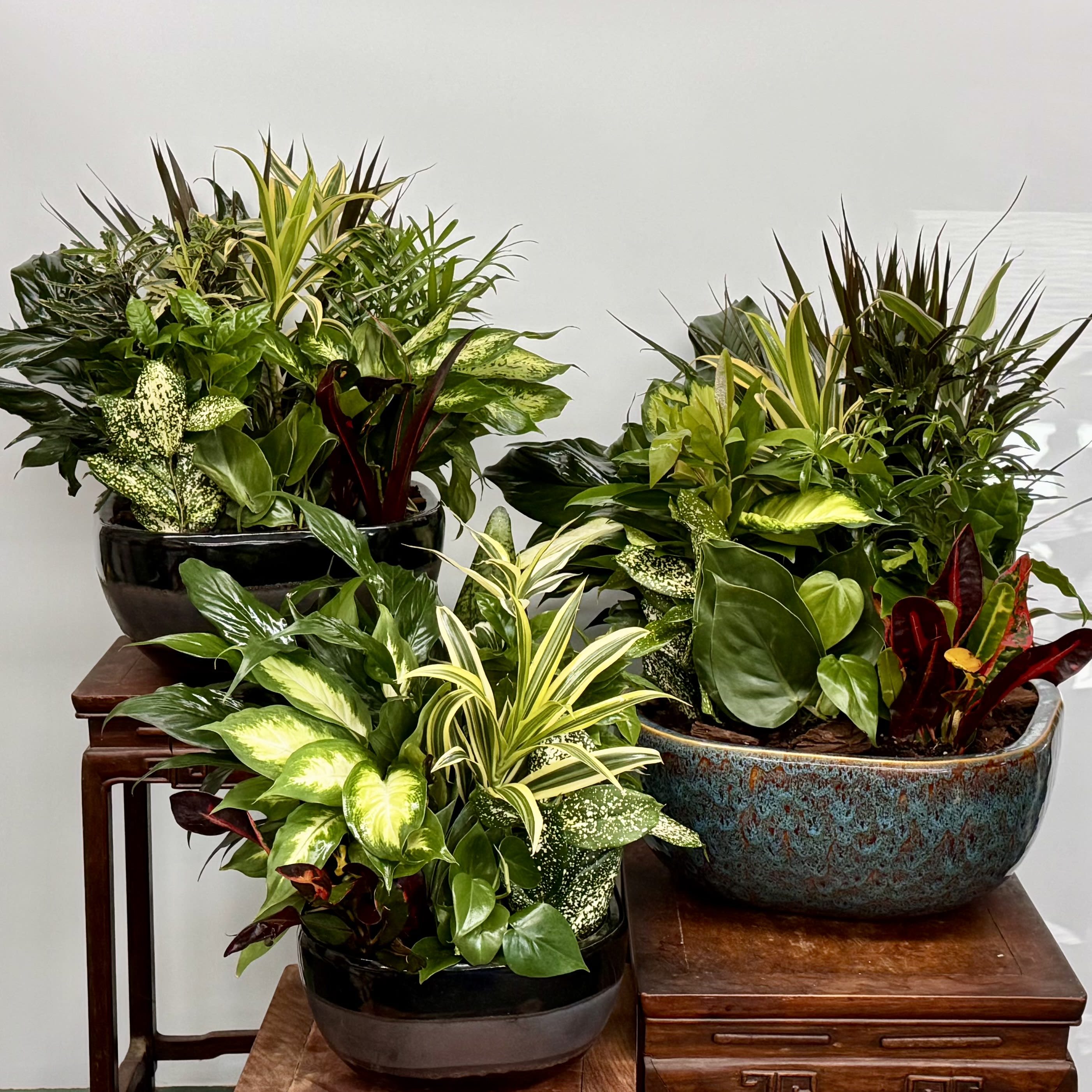 Ceramic Dishgarden