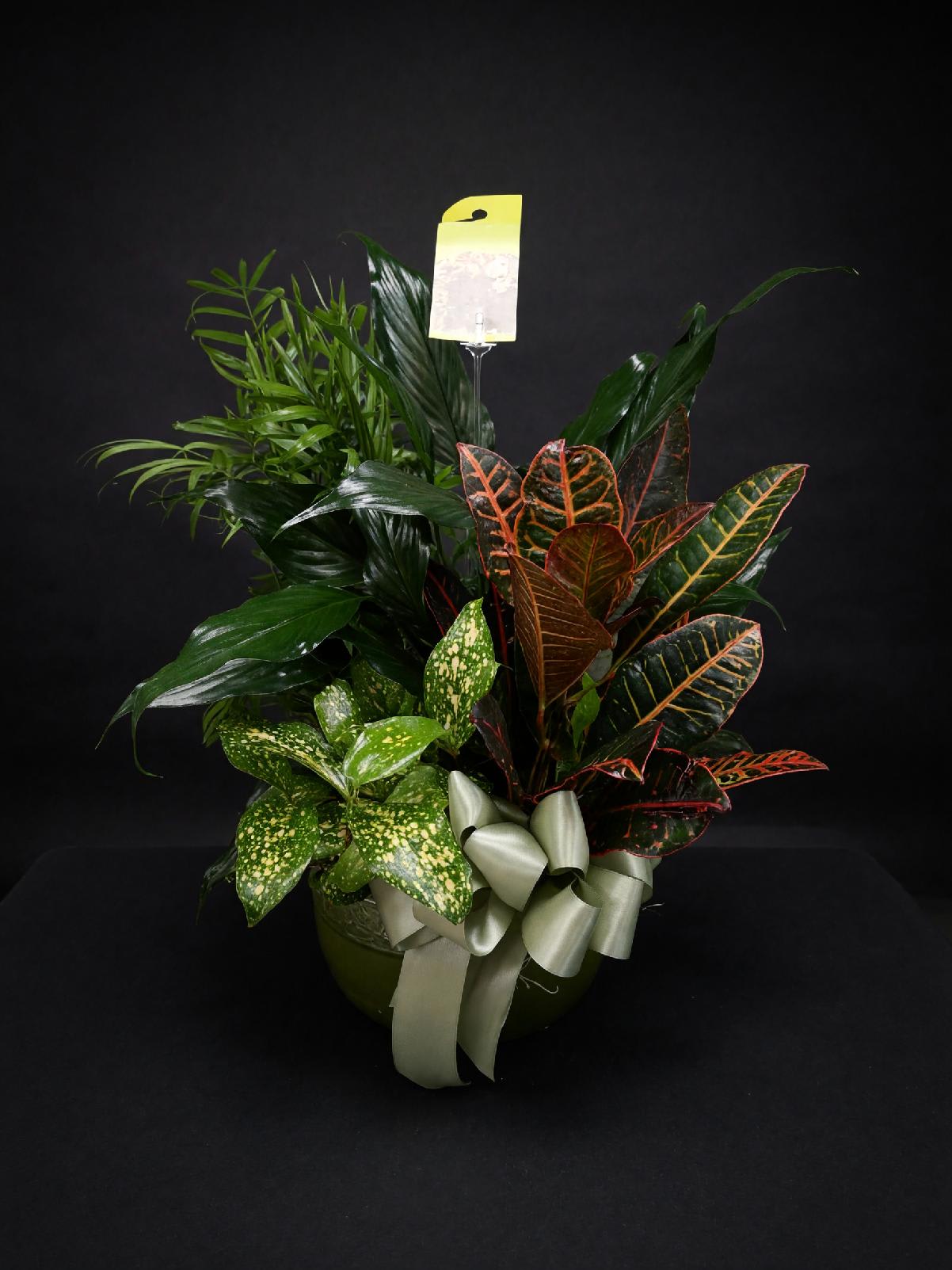 Genn H Dishgarden Flower Bouquet