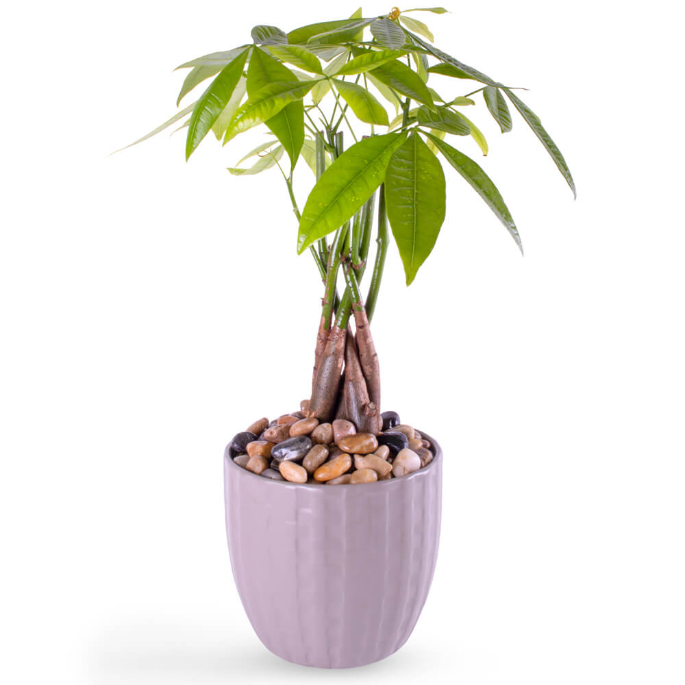 Flower Arrangement 112