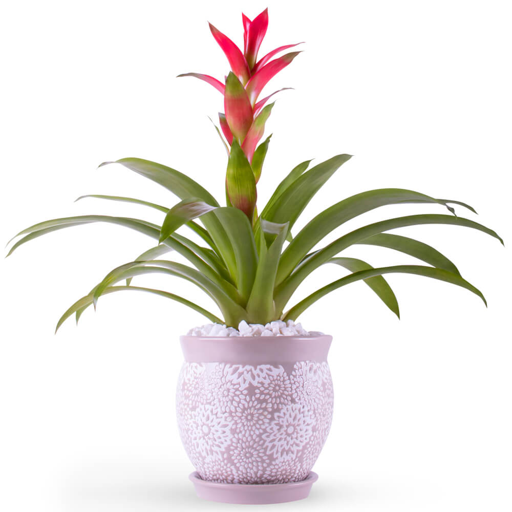 Flower Arrangement 117