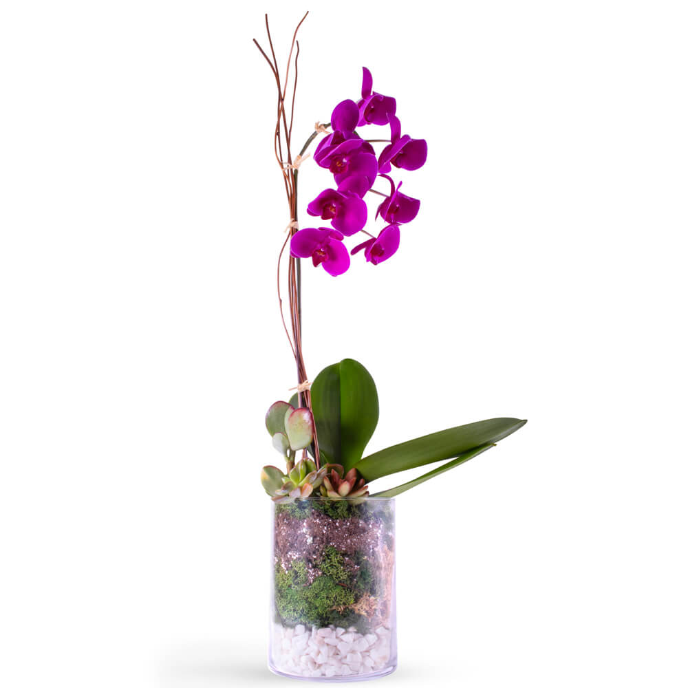 Flower Arrangement 118