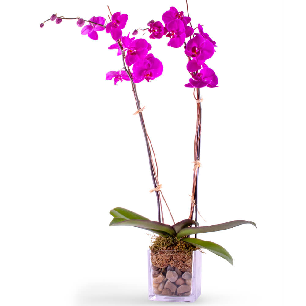 Flower Arrangement 115