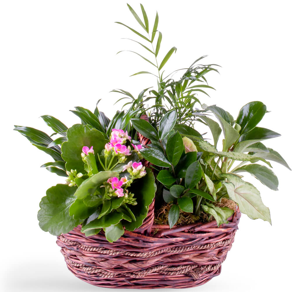 Flower Arrangement 113