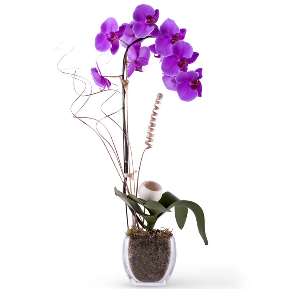 Flower Arrangement 119