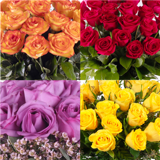 Roses Flower Subscriptions