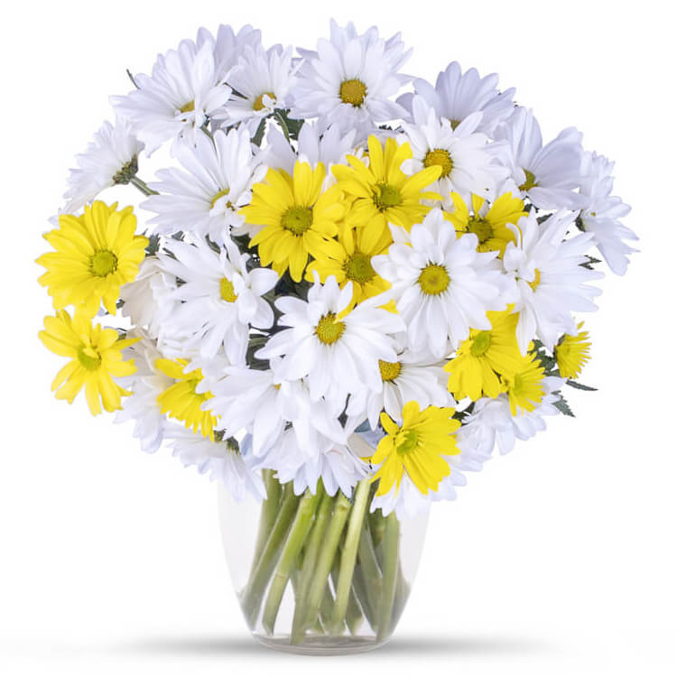 Best Flower Delivery Shop in California Clovis Floral and Café