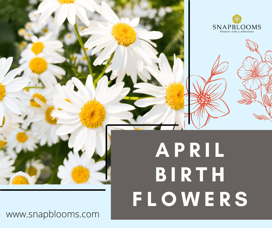 April online birthday flower
