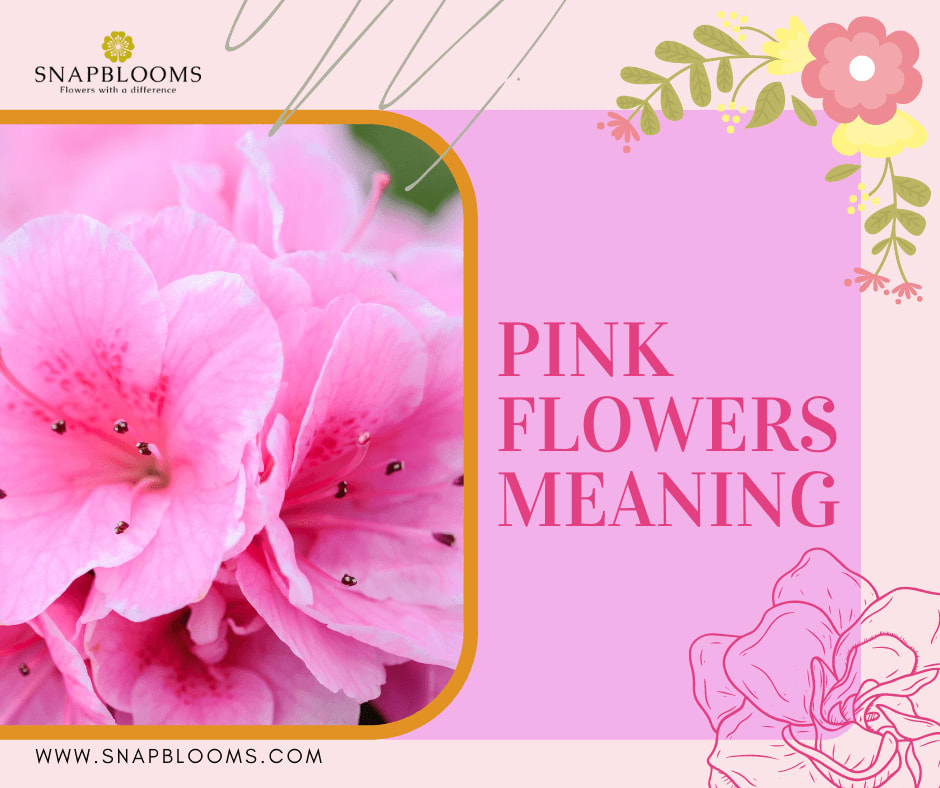 What Do Pink Flowers Mean SnapBlooms Blogs what-do-pink-flowers-mean-snapblooms-blogs