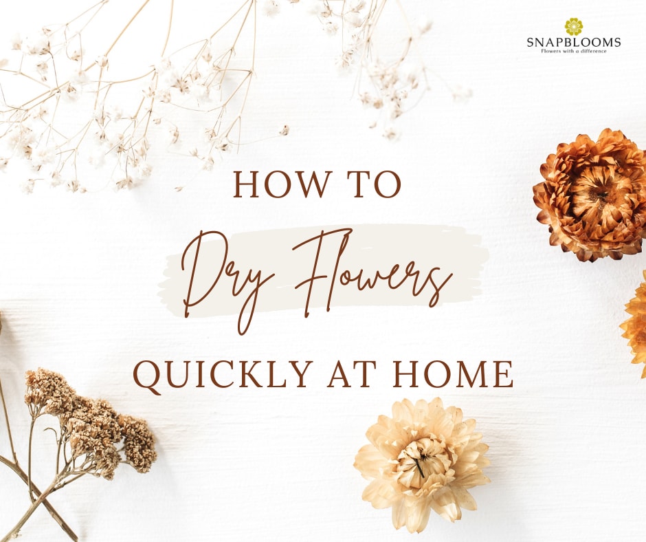 How to Dry Flowers Quickly at Home - SnapBlooms Blogs