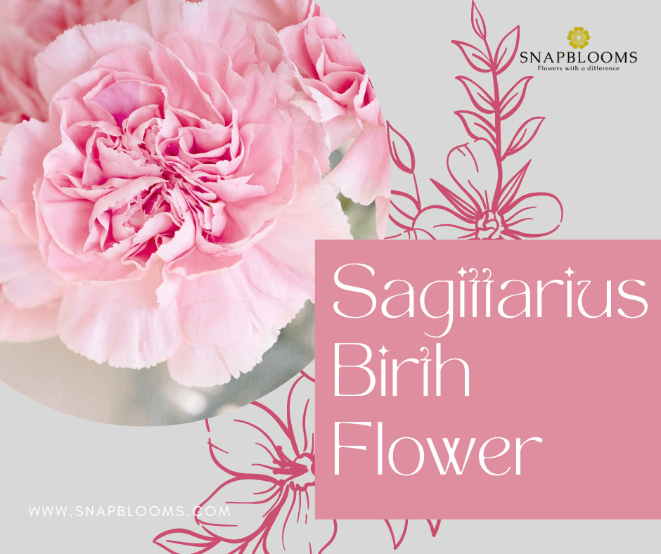 Sagittarius Flower Birth Flowers For Sagittarius Zodiac Signs sagittarius-flower-birth-flowers-for-sagittarius-zodiac-signs