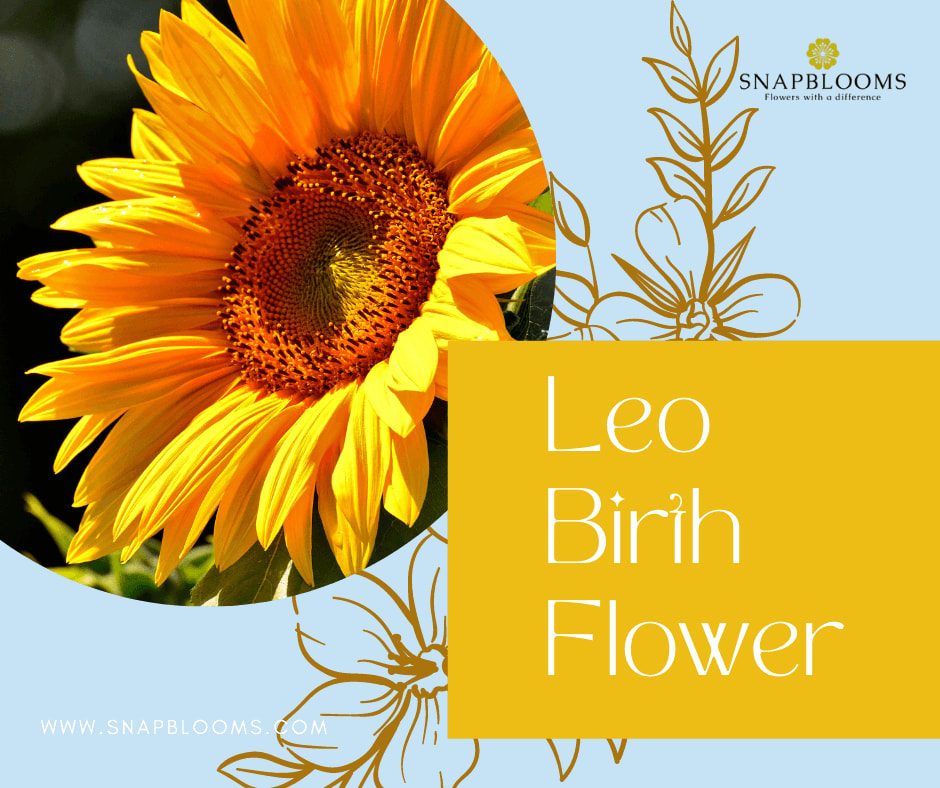 Leo Birth Flower Birth Flower for Leo SnapBlooms Blogs