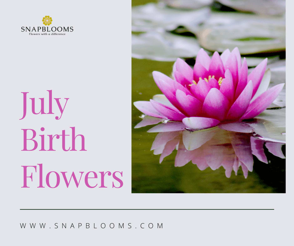 July Birth Flower And Their Meanings