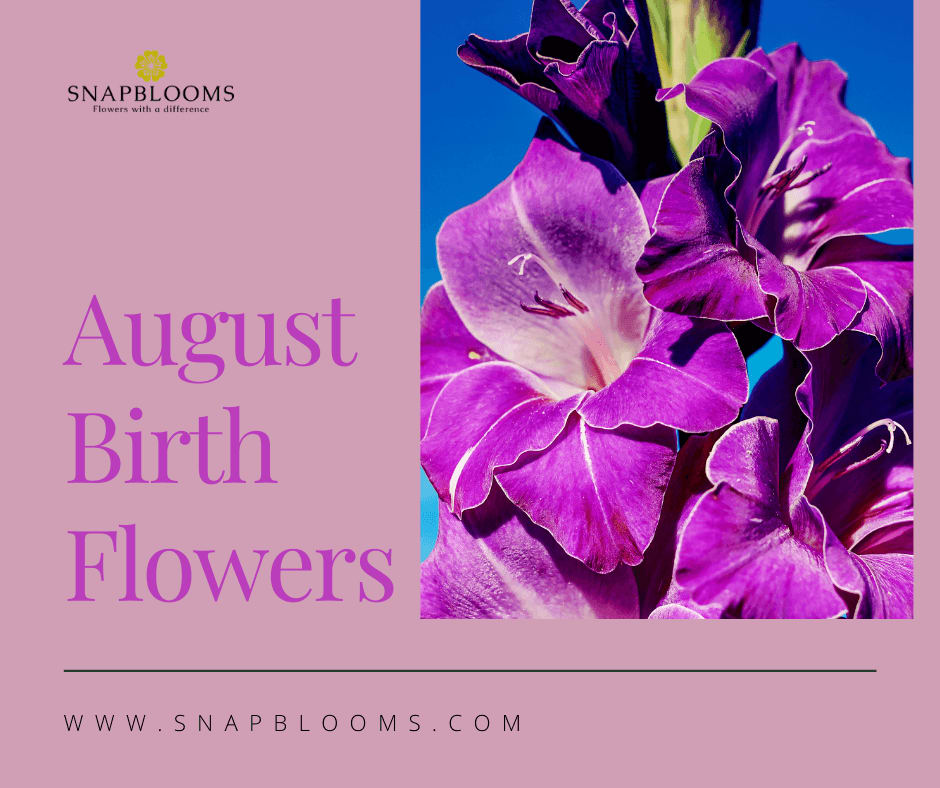 Birth Month Flowers And Their Meanings, 57% OFF