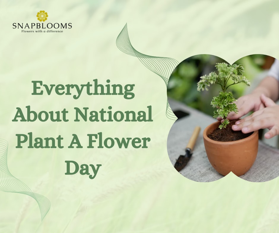 Everything About National Plant A Flower Day SnapBlooms Blogs