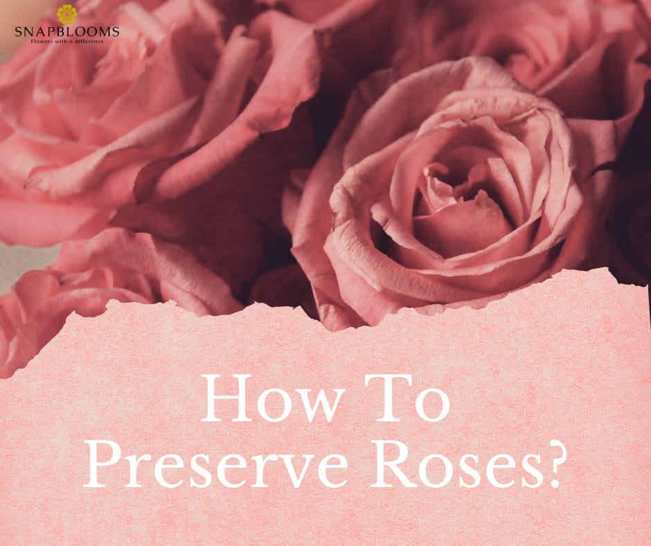 Is There A Way To Preserve Roses at Sarah Scoggins blog