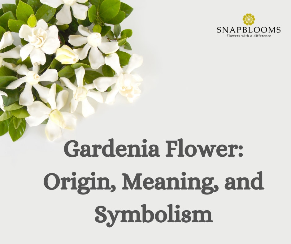 Gardenia
