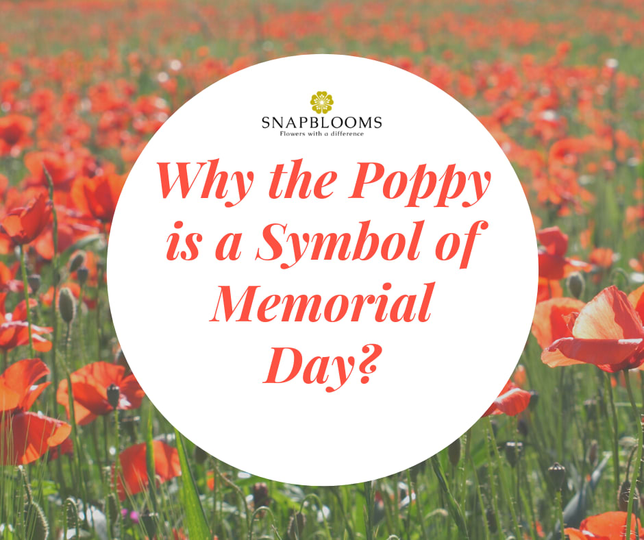 Rememberance Poppies for Memorial Day - S&S Blog