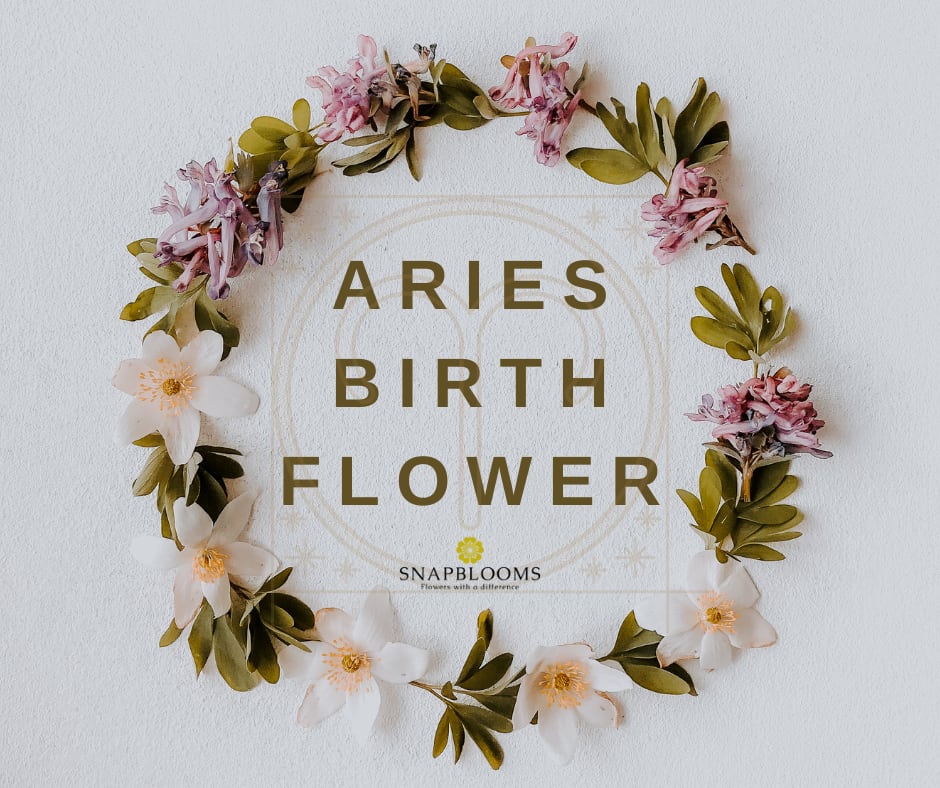 Aries Flower Birth Flowers for Aries Zodiac Signs SnapBlooms Blogs