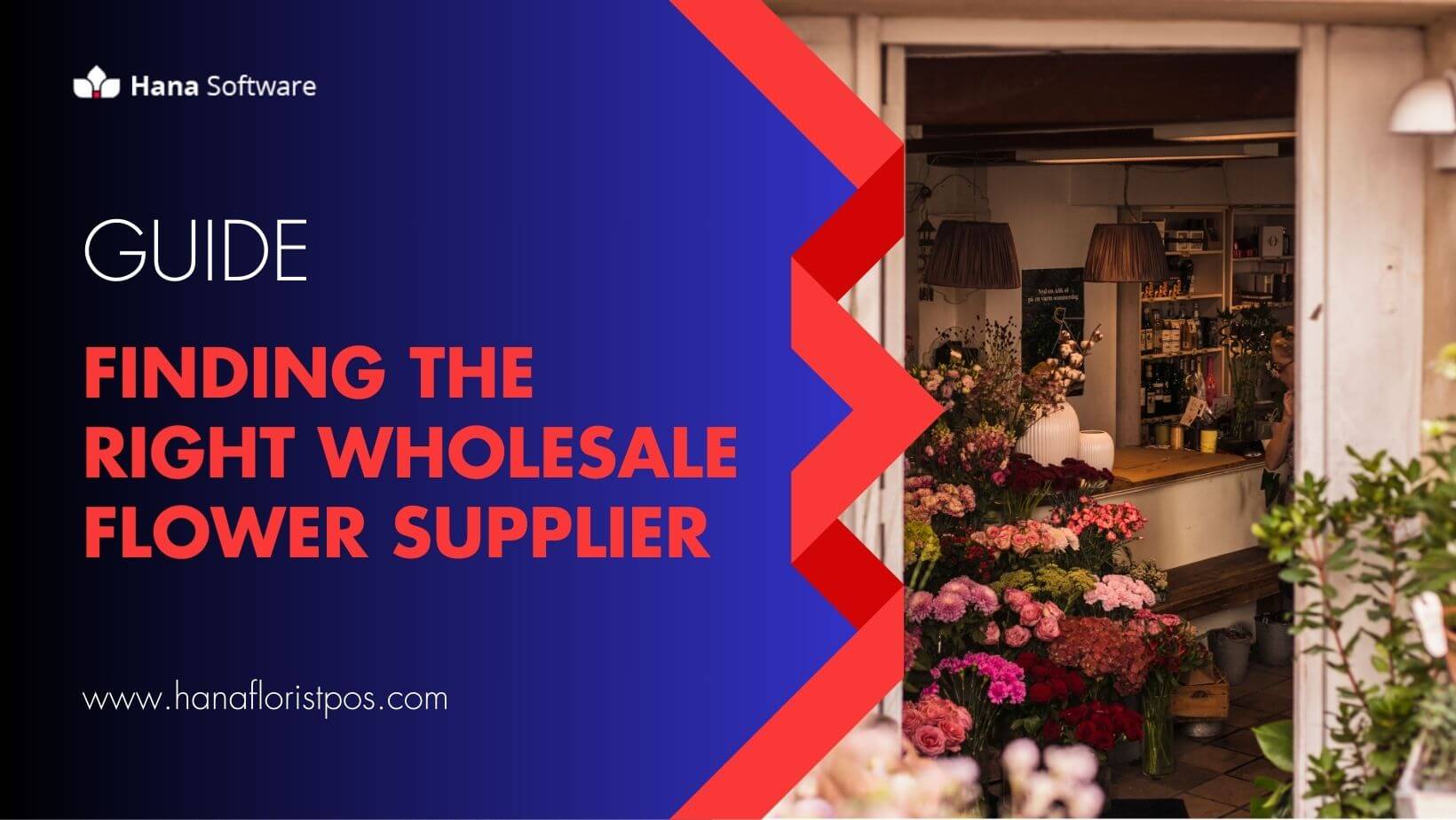 Buying guide for finding the right Wholesale Flower supplier - Hana ...