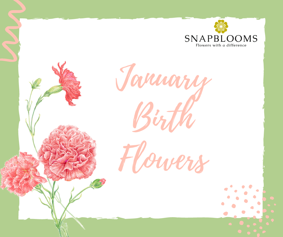 January birth 2024 month flower