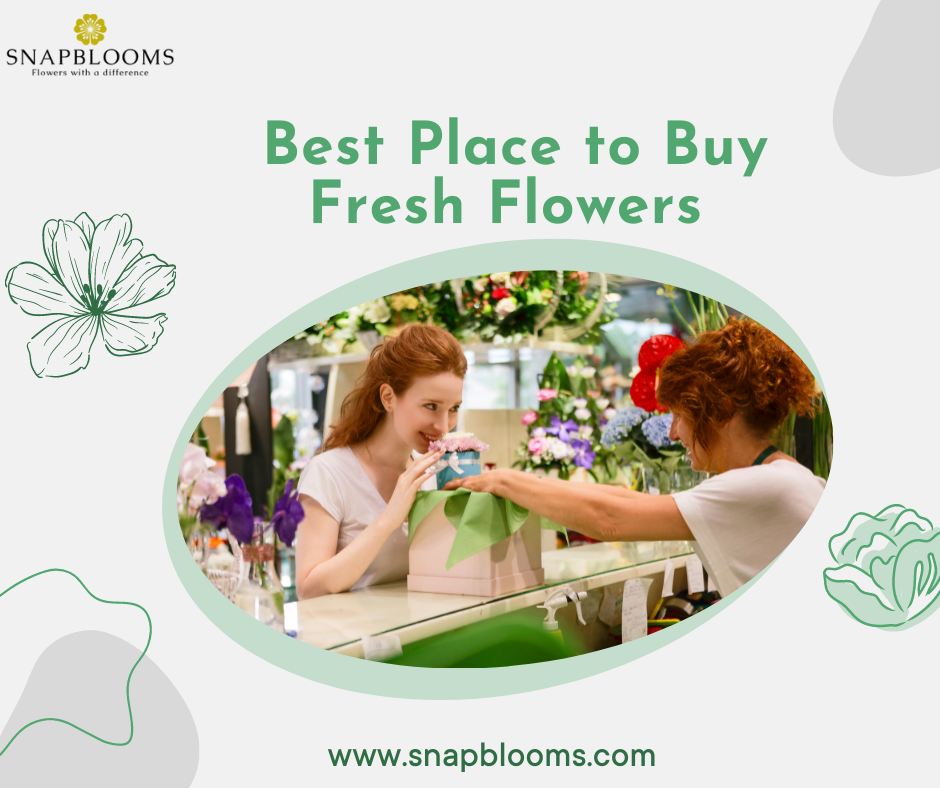 Why SnapBlooms is The Best Place to Buy Fresh Flowers? SnapBlooms Blogs
