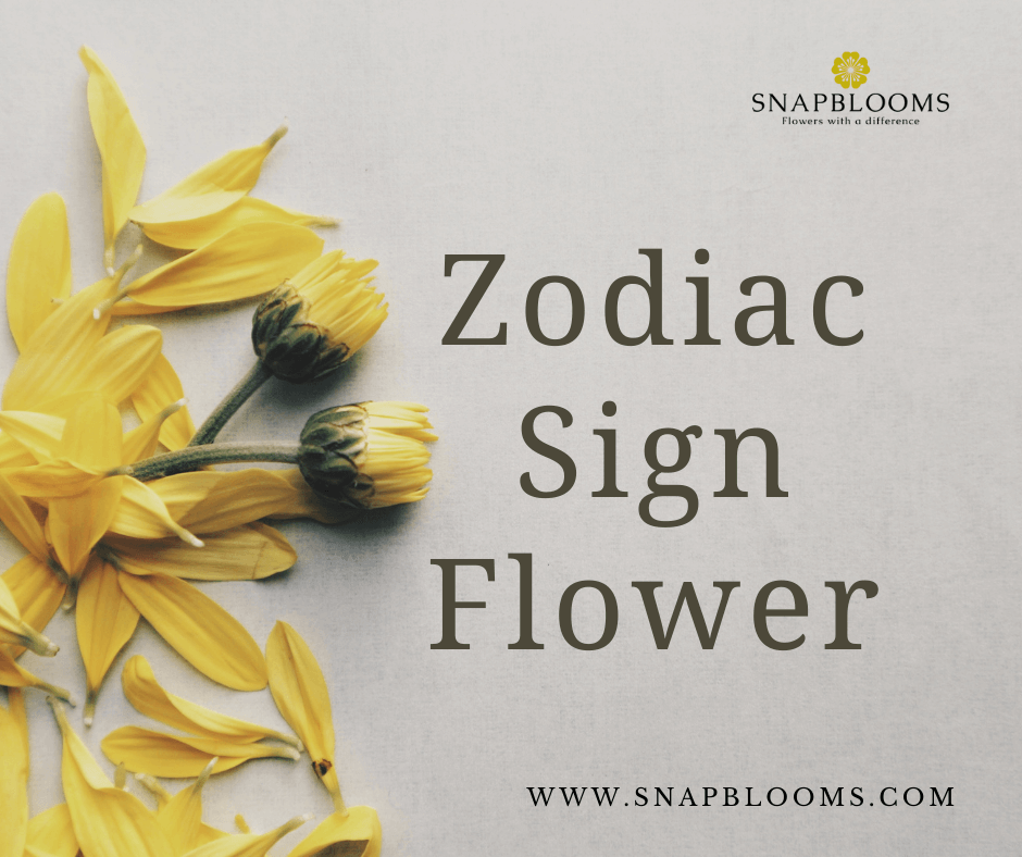 https://res.cloudinary.com/dizexseir/images/v1638887017/Zodiac-Flowers_997c6cc4/Zodiac-Flowers_997c6cc4-png?_i=AA