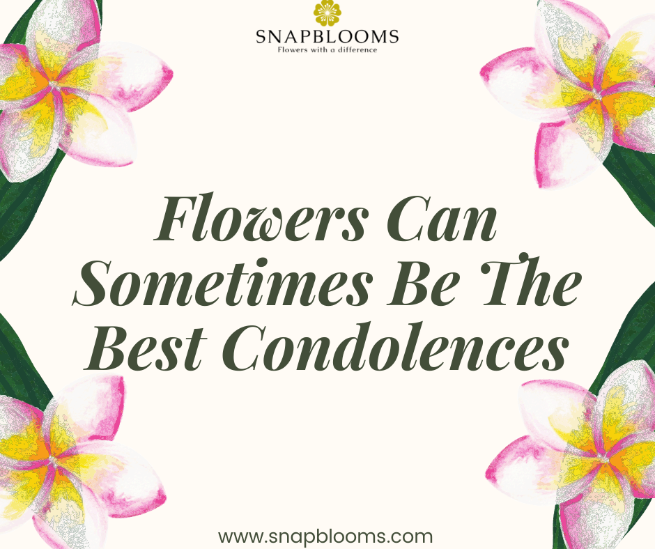 How To Choose The Right Funeral Sympathy Flower - SnapBlooms Blogs