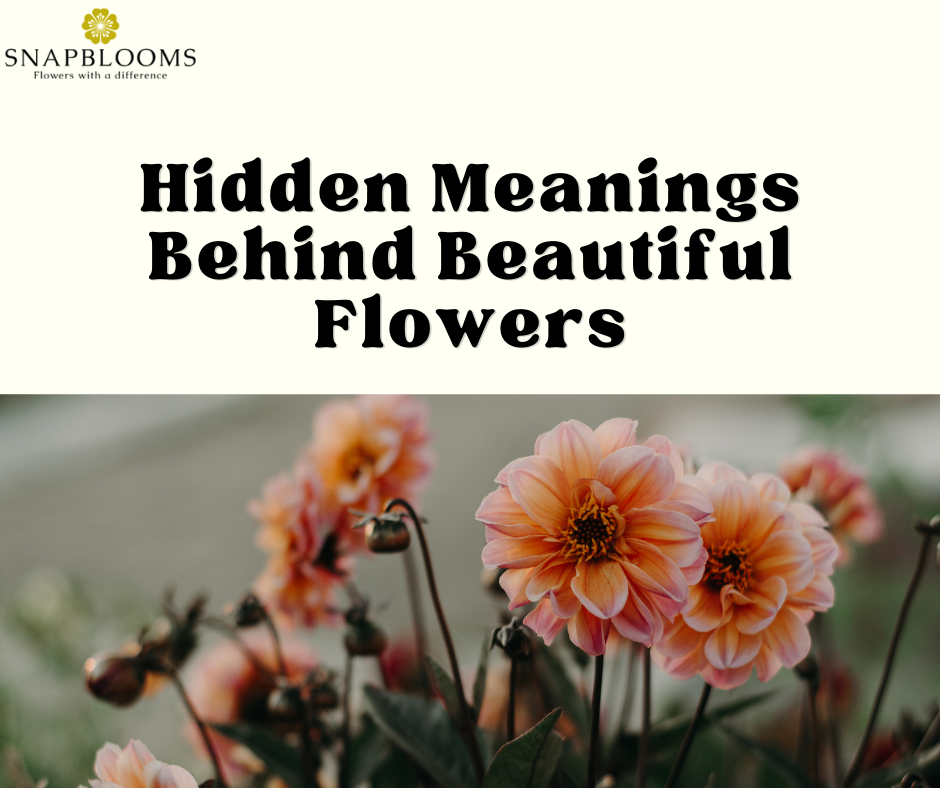 Some Hidden Meanings Behind the World’s Most Beautiful Flowers